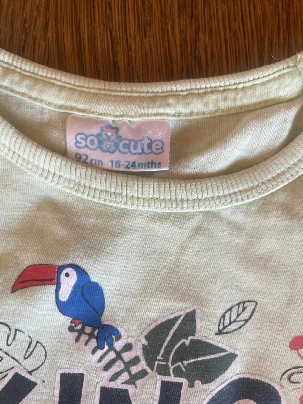 So Cute “King of the Jungle” Tank Top & H&M Shorts Set – 18–24 Months